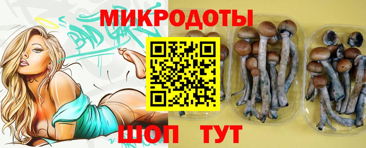 Псилоцибиновые грибы ЛСД  Вход с VPN  Карачаевск 