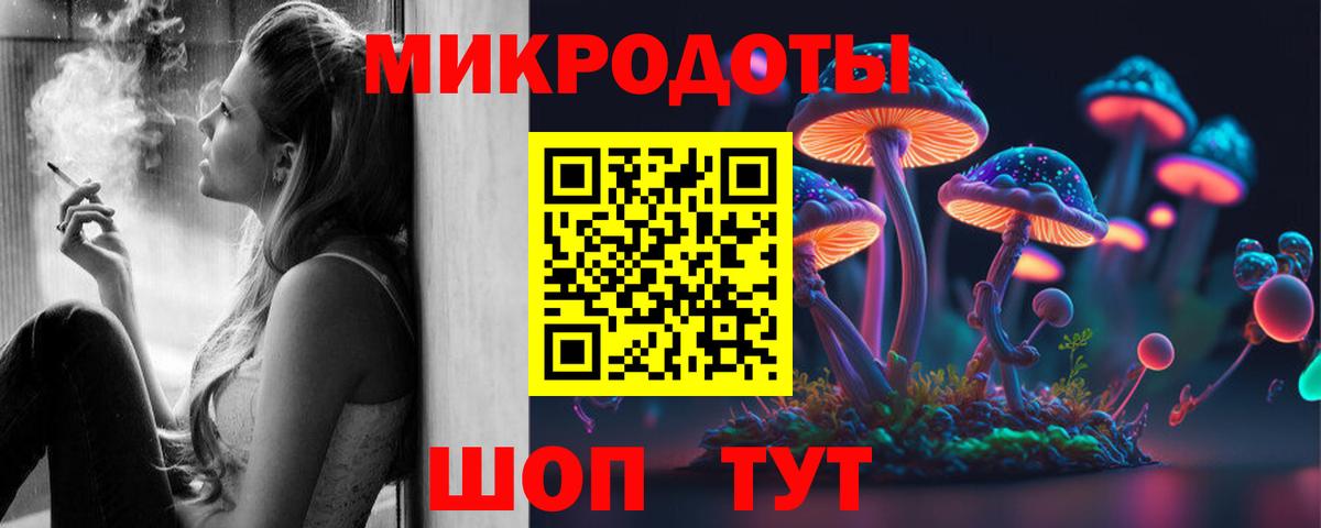 Псилоцибиновые грибы Psilocybine cubensis Карачаевск
